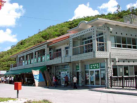 道の駅「おおぎみ」