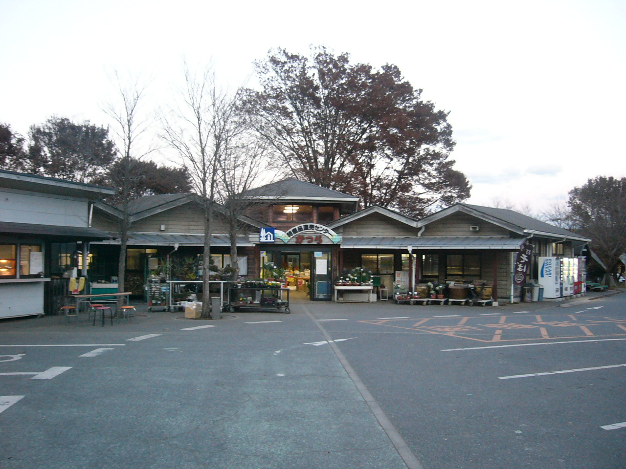 道の駅「かつら」