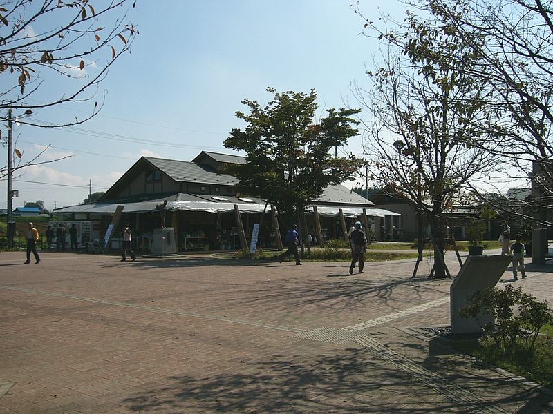 道の駅「にのみや」