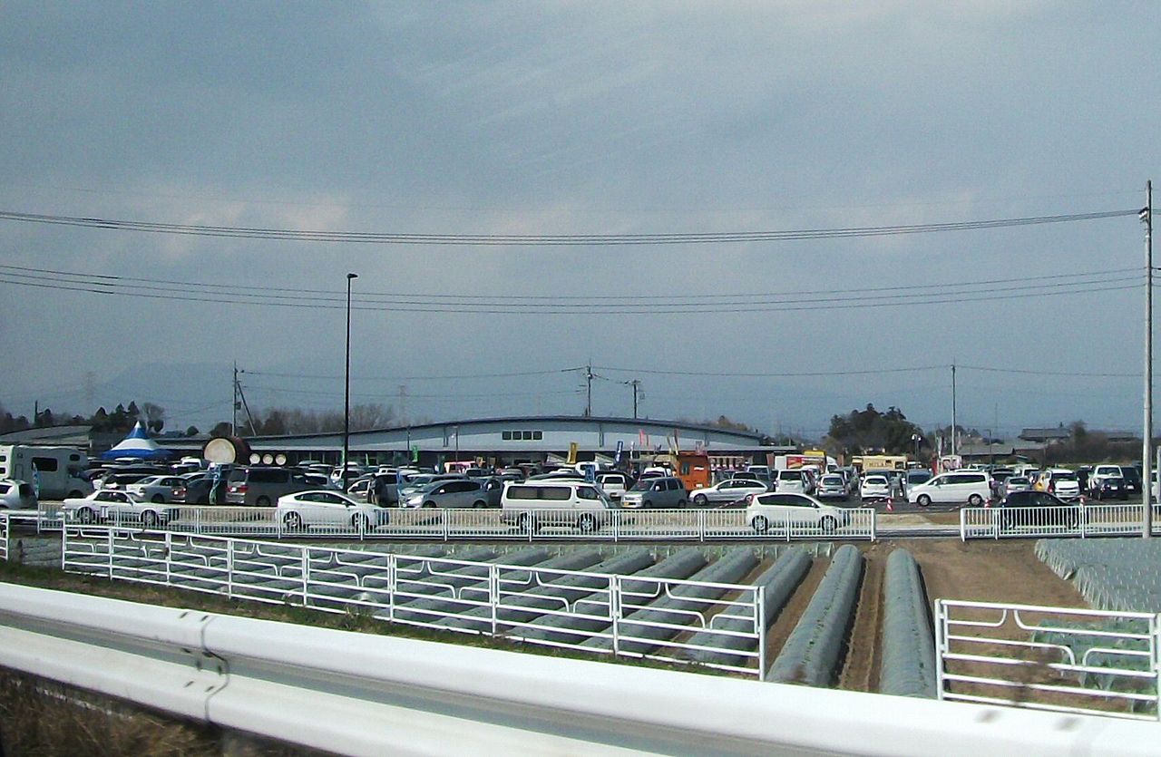 道の駅「おおた」