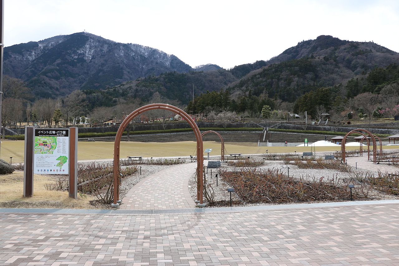 道の駅「富士川ふるさと工芸館」の口コミや評判