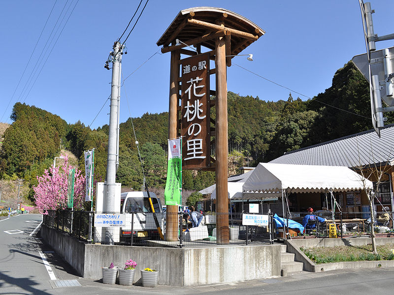 道の駅「天竜相津　花桃の里」