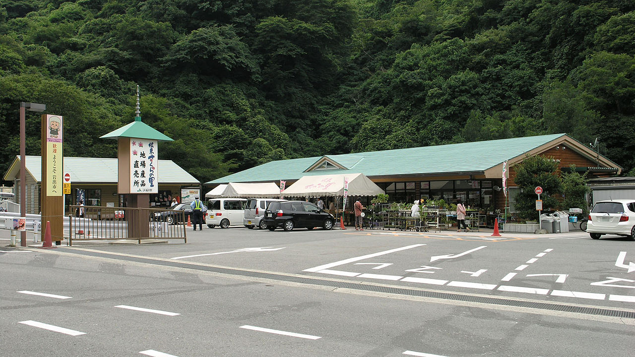 道の駅「根来さくらの里」